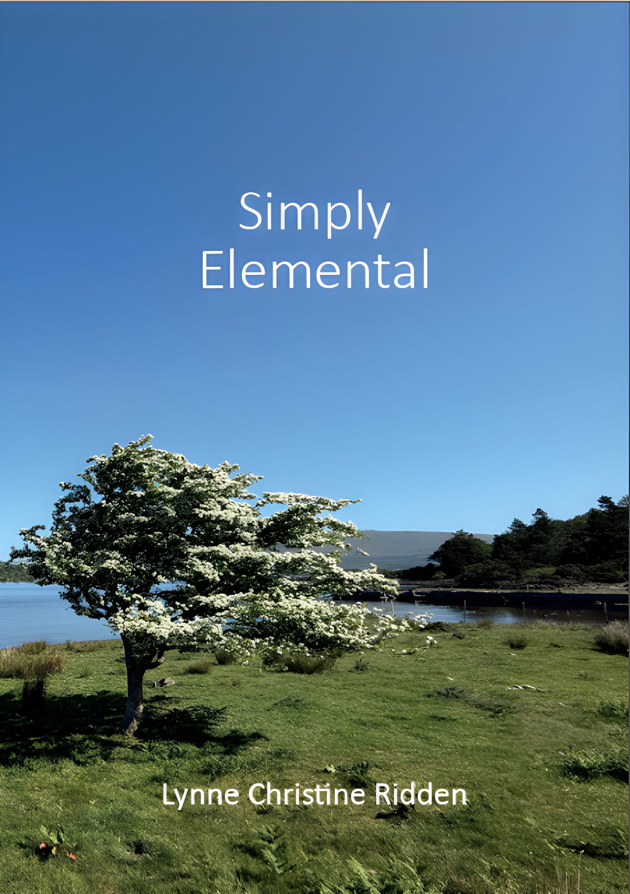 The cover of Simply Elemental by Lynne Christine Ridden